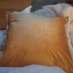 Orange Velvet Throw Pillow